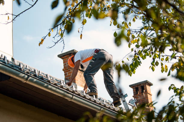Best Flat Roof Repair Services  in Fort Denaud, FL